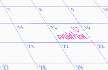 female ovulation day on calendar