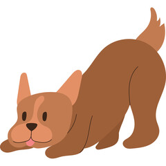 Brown Dog Playing With A Toy On A White Background With Tongue Out