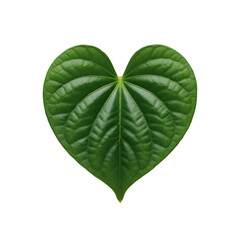 A Vibrant Green Heart Shaped Leaf With Detailed Veins Isolated On A Black Background Symbolizing Nature And Love