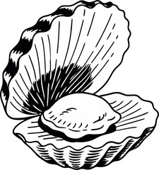 An intricately detailed black and white illustration of an oyster shell, open to reveal a single oyster. The shell is depicted in a side view, revealing its undulating, ridged texture. The interior of