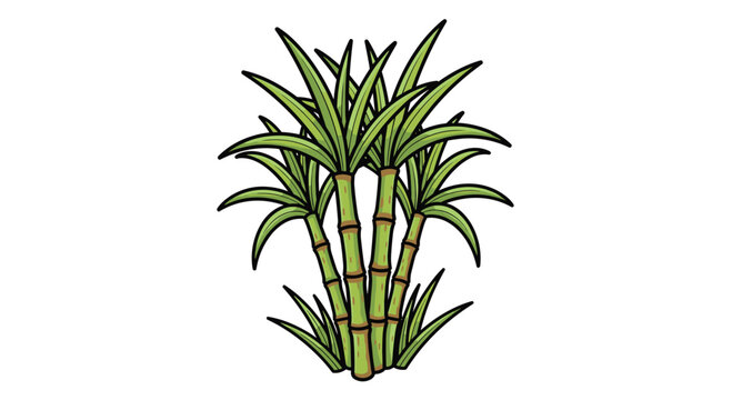 Vibrant green sugarcane stalks bursting with life, symbolizing growth and natural sweetness for your projects