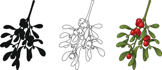 Illustration of mistletoe in three styles silhouette, line art, and full color for christmas designs