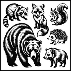 Cute forest animals collection