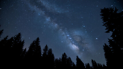 Milky way galaxy shining over pine forest silhouettes at night