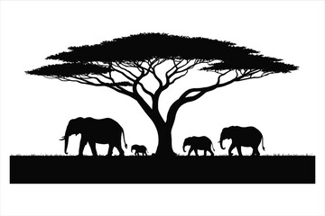 Elephant family under acacia tree