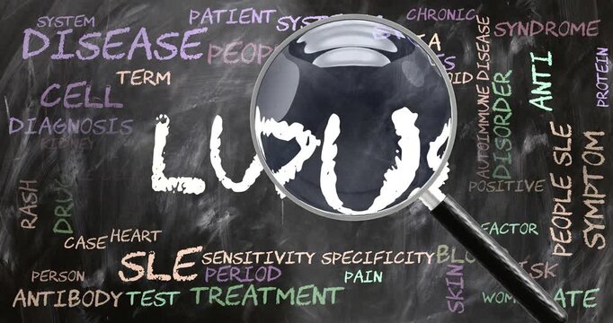 Lupus being studied, examined - under close inspection. Most important subjects and ideas closely related to lupus written on a blackboard inspected by a magnifying glass. Can be looped