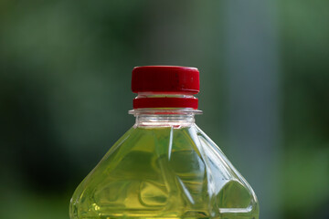 Close-up of a plastic bottle (cooking oil/green tea) with a red cap, on a blurred green bokeh background.