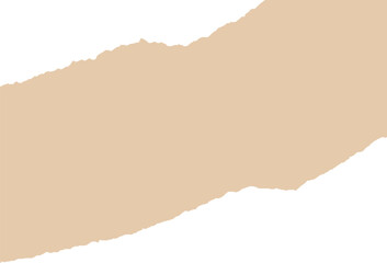 torn paper with torn edges