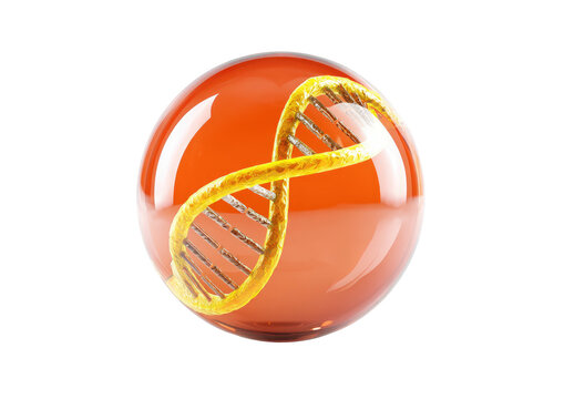DNA helix swirls within a shiny, orange sphere - Powered by Adobe