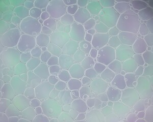 Fototapeta premium Macro Shot of Soap Bubbles on Water Surface with Soft Pastel Gradient Background
