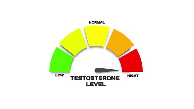 Visual representation of testosterone levels, showcasing a gauge transitioning from low to high, emphasizing health metrics, with a focus on vibrant colors and clear indicators of hormonal balance and