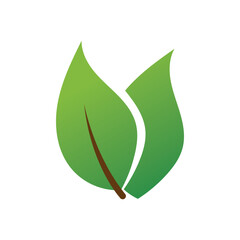 vector illustration of four stylized leaves in green