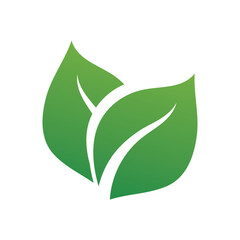 vector illustration of four stylized leaves in green