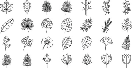 Botanical Line Art Leaves, Branches, Bamboo Set on White Background