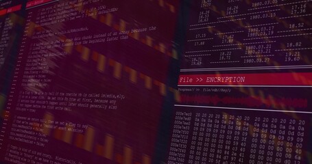 Showing computer screen displaying encryption interface at security console with code and hex dump