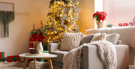 Interior of living room with Christmas flower poinsettia, sofa and glowing fir tree