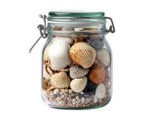 Jar of Seashells and Pebbles from the Beach