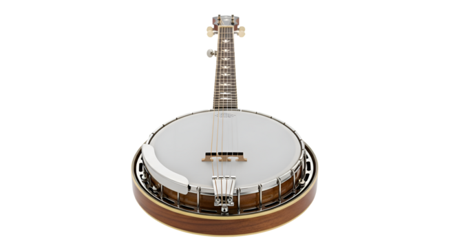 Detailed View of a Classic Five-String Banjo Instrument.