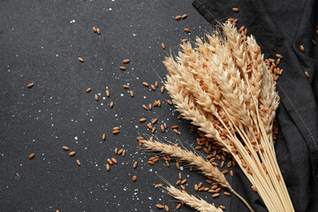 Obraz premium Wheat ears with grains and napkin on grunge black background