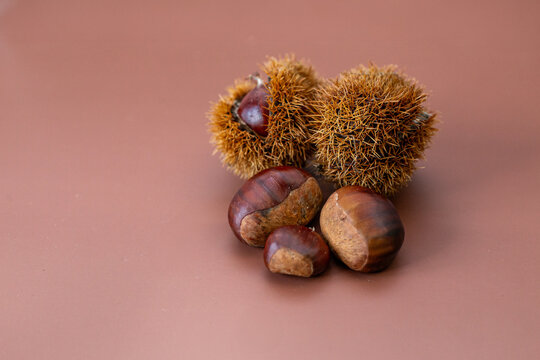 Chestnuts in spiky burrs and shelled on brown background