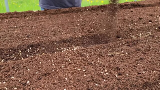 A close-up view of freshly tilled soil with seeds scattered across the surface
