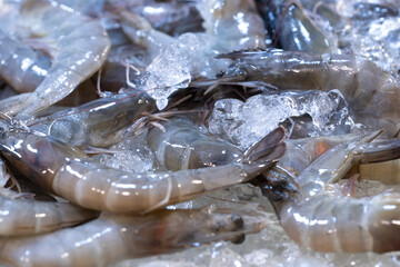 A bunch of shrimp are sitting on ice