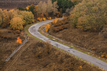 Fototapeta premium Scenic winding road through colorful autumn landscape with deciduous trees on rolling hills in fall season