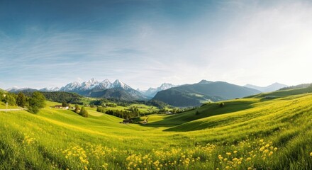Fototapeta premium Panoramic spring mountain landscape with vibrant green rolling hills, yellow wildflower fields, and majestic snow-capped peaks under a clear blue sky.