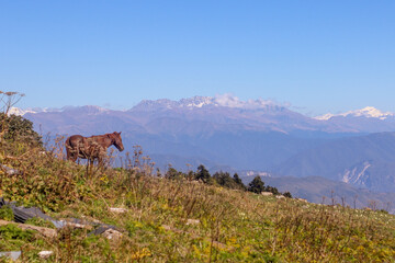 View of the Caucasus Mountains from Mount Khvamli, Georgia