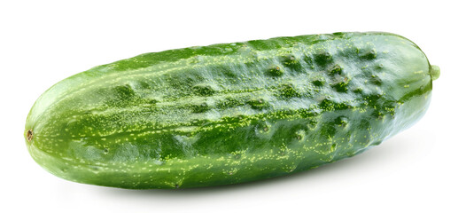 Cucumber and slices isolated on transparent background