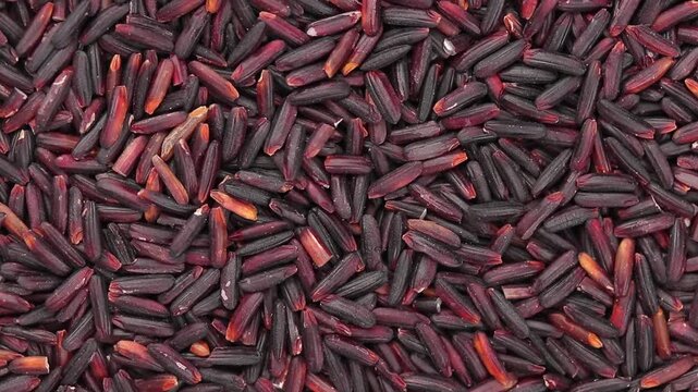 Top view of purple riceberry rice grains rotating. Thai food