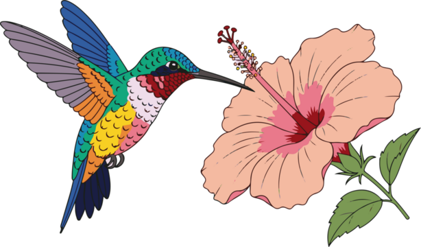 hummingbird and flower