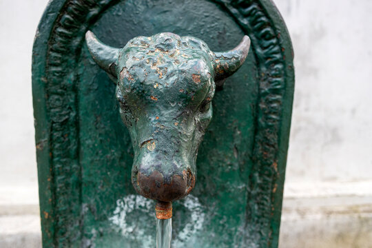 A close-up of the fountain with the bull in Turin, Piedmont, Italy