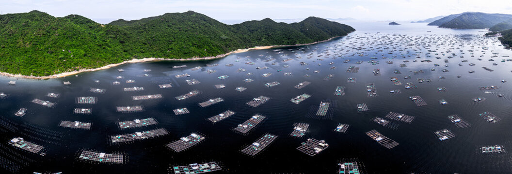 Aerial view of numerous floating structures on the dark waters contrasting with the lush green hills, Vinh Vung Ro, Vietnam.