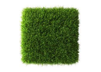 Vibrant green grass patch, square shape, against black backdrop