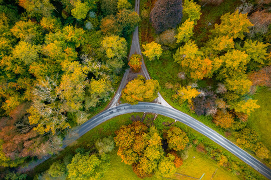 Aerial view of a road splitting into two, carving through a vibrant tapestry of autumn foliage, The Chilterns, Oxfordshire, England, United Kingdom.