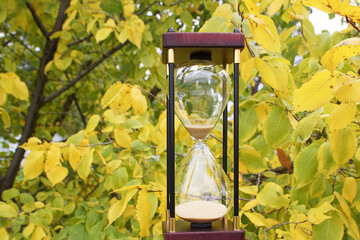 An hourglass against the backdrop of a tree with yellow leaves. The hourglass symbolizes time, balance, cyclicality, and transience.