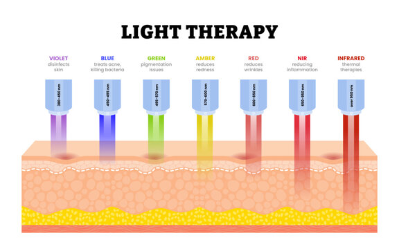 Light Therapy for skin rejuvenation. Phototherapy.  Electromagnetic spectrum with colors of the various wavelengths with violet, blue, red. Human skin layers anatomy cross section. Vector illustration