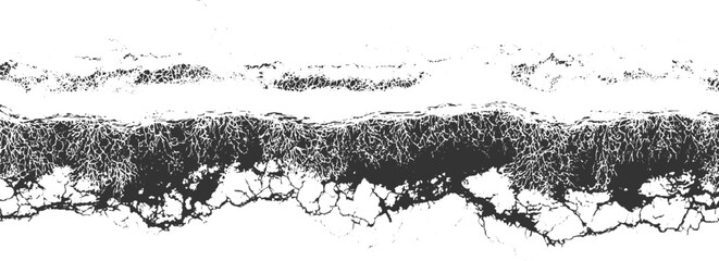 Abstract dark grey organic texture pattern on white background vector