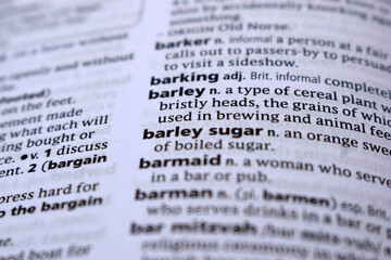 English Dictionary Page Close Up With the Word Of -barley