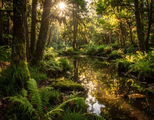 Obraz premium Lush, sunlit forest scene with a serene stream reflecting the bright light