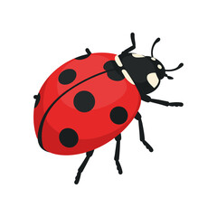 Cartoon Ladybug with Red Shell and Black Spots Illustration.