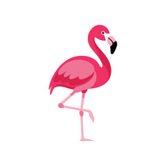 Graceful pink flamingo standing on one leg vector illustration.
