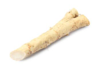 One fresh horseradish root isolated on white