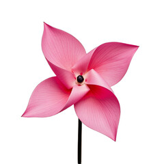 Fototapeta premium Bright Pink Star-Shaped Flower with Delicate Petals