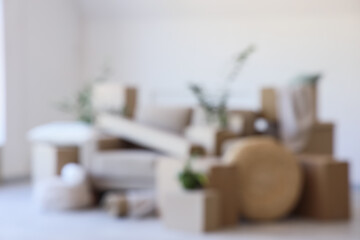 Blurred view of sofa with cardboard boxes and plants in room on moving day