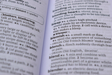 Obraz premium English Definition Dictionary Page Close Up Of Printed Word Of -blemish