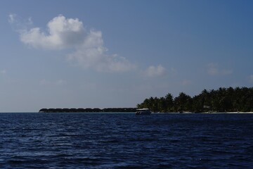Tropical Island with Palm Trees and Ocean Horizon