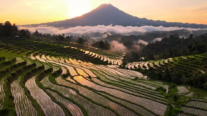 Lush rice terraces cascading through misty mountains and glowing at sunrise