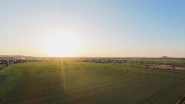 sunrise illuminating expansive cultivated countryside, early morning light bathes wide patches of farmland peacefully, gentle rays of dawn illuminate long rows of crops in tranquil